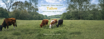 Why Grass-Fed, Grass-Finished Dry-Rendered Tallow Is a Game-Changer for Natural Skincare
